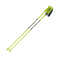 Rental ski poles