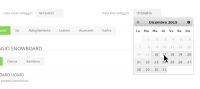 Noleggio online data fine