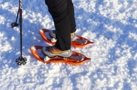 Winter Nordic walking